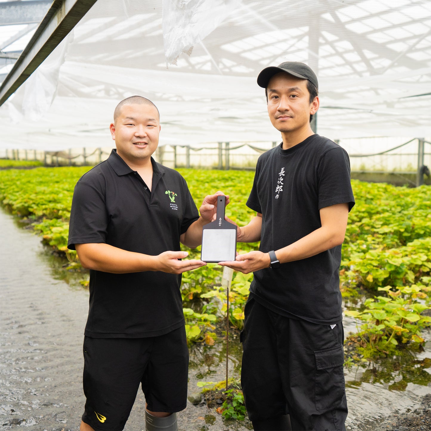 Chojiro's Oninami model (walnut/ebony)