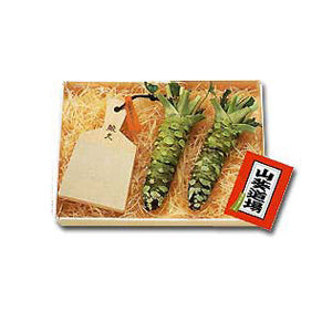 Shark Skin Grater Fresh Wasabi Shark Skin Grater (Large) Assortment